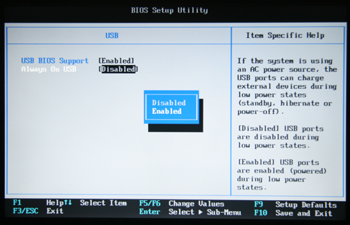 Thinkpad BIOS Always On USB